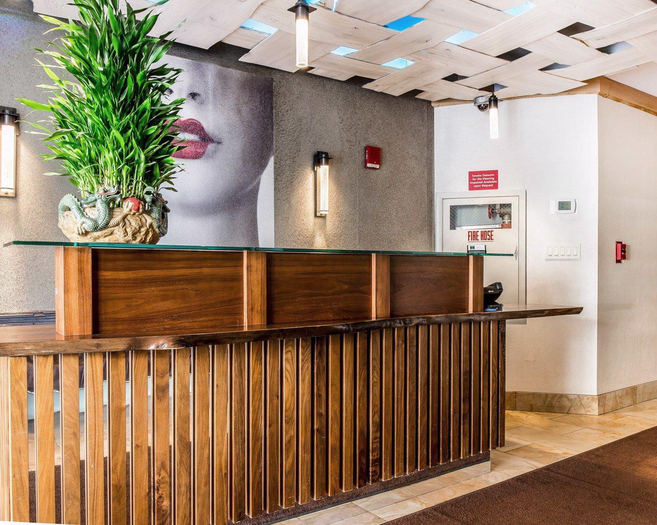 Solita Soho Hotel 뉴욕 외부 사진
