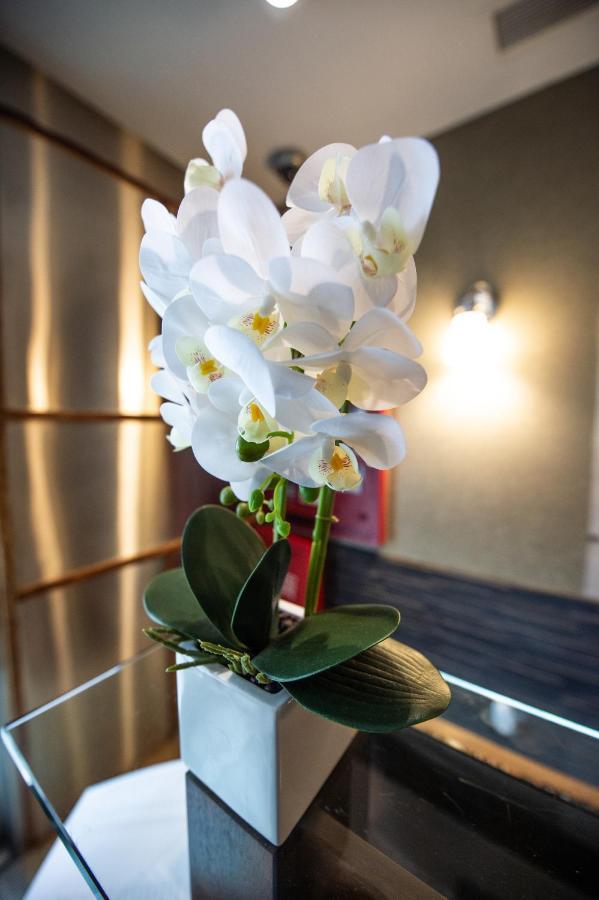 Solita Soho Hotel 뉴욕 외부 사진