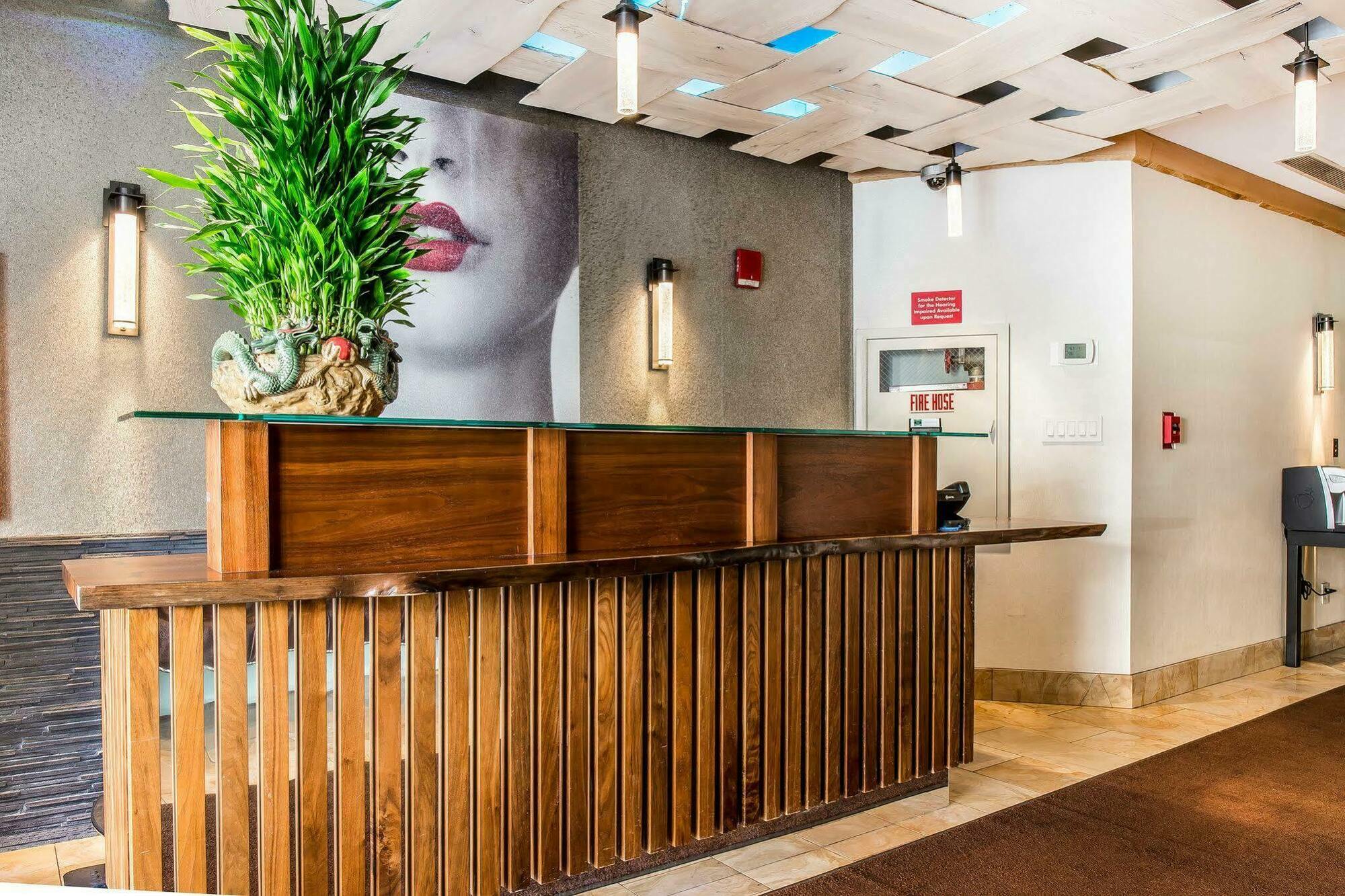 Solita Soho Hotel 뉴욕 외부 사진
